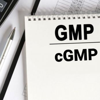 cGMP và GMP – Sự khác biệt là gì?