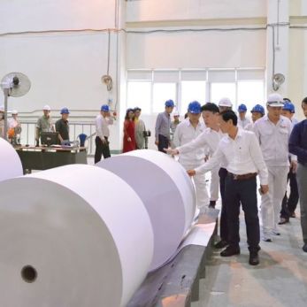 Quy trình sản xuất bao bì giấy diễn ra như thế nào?