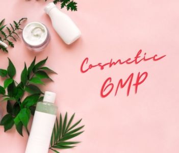 Cosmetic GMP guidelines