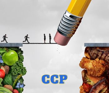 CCP là gì? 4 nhóm cây quyết định CCP phổ biến