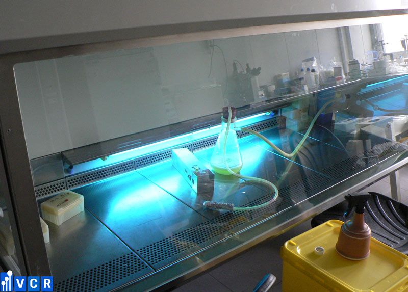 đèn UV trong tủ an toàn sinh học