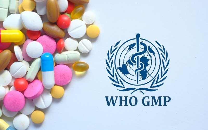 What is WHO GMP?