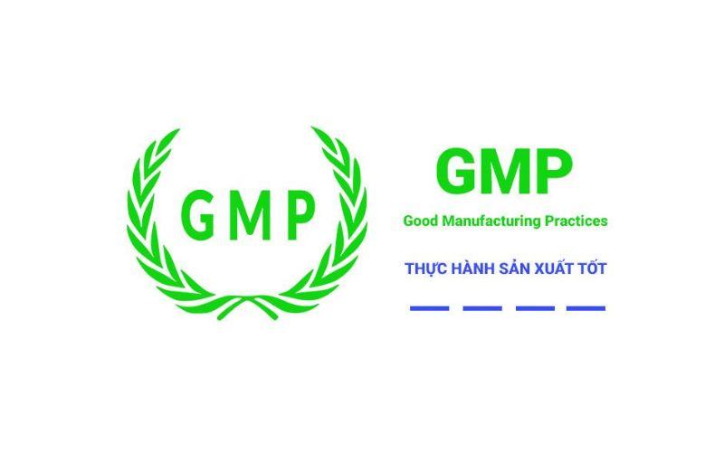 GMP là gì? 8 Vấn đề cần hiểu rõ về Tiêu chuẩn GMP là gì?