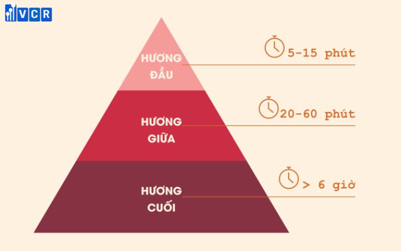 Các tầng hương của nước hoa