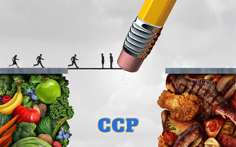 CCP là gì? 4 nhóm cây quyết định CCP phổ biến