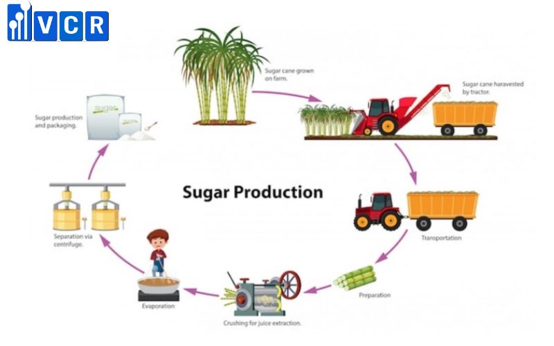 Sơ đồ quy trình sản xuất đường mía 