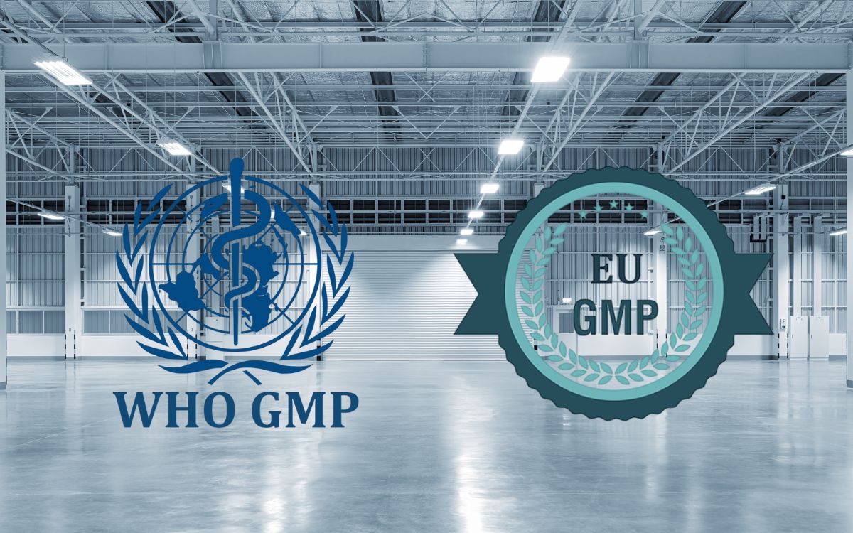 Khi nào nên dùng WHO-GMP thay vì EU-GMP?