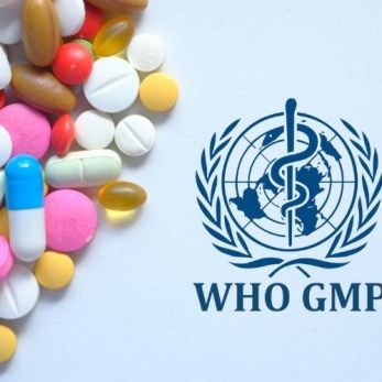 What is WHO GMP?
