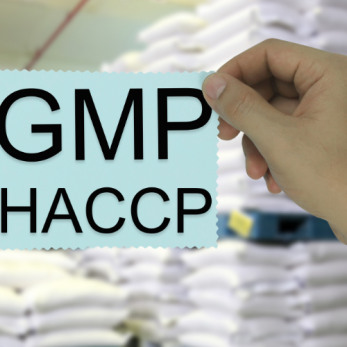 GMP HACCP và SSOP là gì? GMP HACCP và SSOP có mối liên hệ như thế nào?