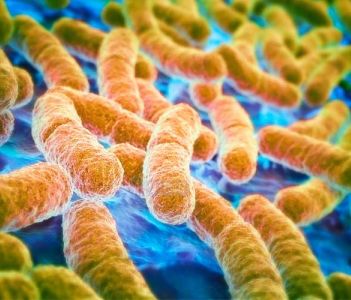 9 Ways To Reduce Bacteria In Food Factory
