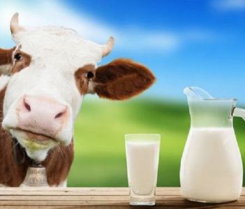 Chi tiết quy trình sản xuất sữa tiệt trùng đạt chuẩn