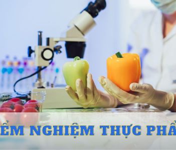 Kiểm nghiệm thực phẩm là gì? Phương pháp kiểm nghiệm thực phẩm 2024