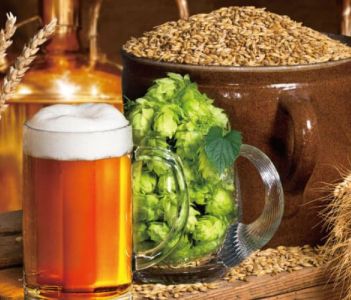 Quy trình sản xuất bia: Những gì bạn cần biết