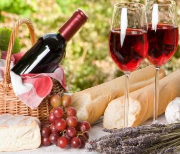 Khám phá quy trình sản xuất rượu vang đạt chuẩn quốc tế