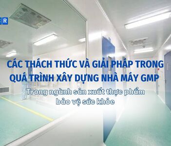 Các thách thức và giải pháp trong quá trình xây dựng nhà máy GMP trong ngành sản xuất thực phẩm bảo vệ sức khỏe