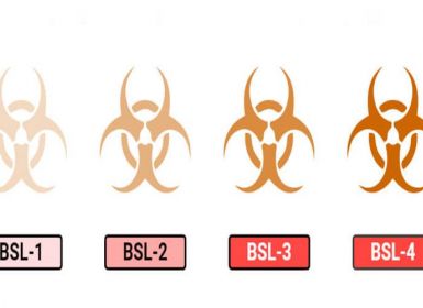 4 cấp độ an toàn sinh học cần biết cho phòng thí nghiệm