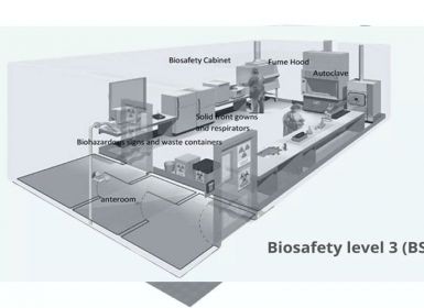 Điều kiện và Yêu cầu của phòng xét nghiệm an toàn sinh học cấp 2
