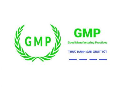 GMP là gì? Yêu cầu, Nguyên tắc và Phân loại các tiêu chuẩn GMP | GMP EU, GMP WHO, cGMP, Pics GMP