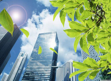 Không khí sạch là gì? Lợi ích, Tác hại và Ứng dụng của không khí sạch