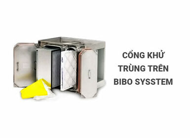 Cổng khử trùng – Phụ kiện không thể thiếu của BIBO