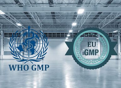 Khi nào nên dùng WHO-GMP thay vì EU-GMP?