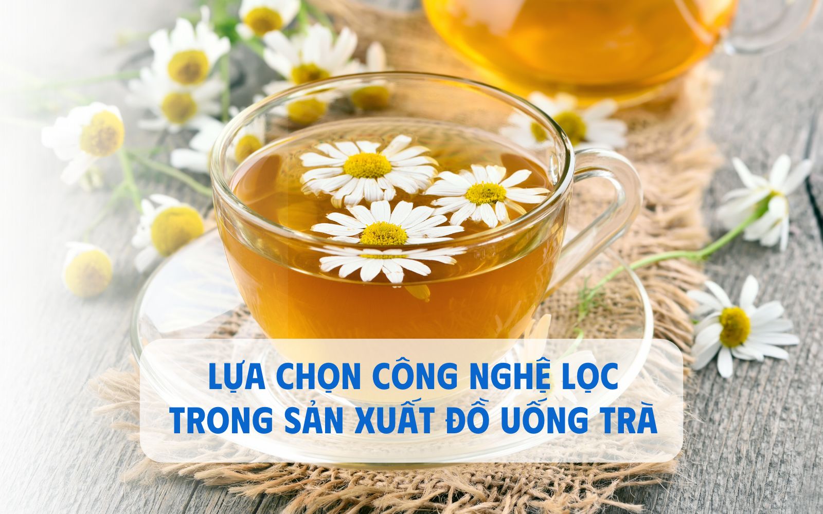 ứng dụng lõi lọc trong sản xuất trà những nội dung dưới đây sẽ giúp bạn hiểu rõ hơn