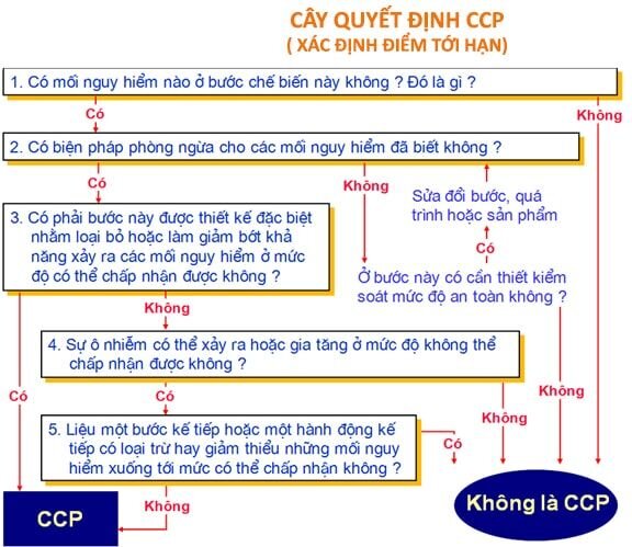 cây quyết định ccp