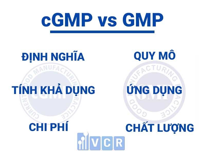 cGMP và gmp