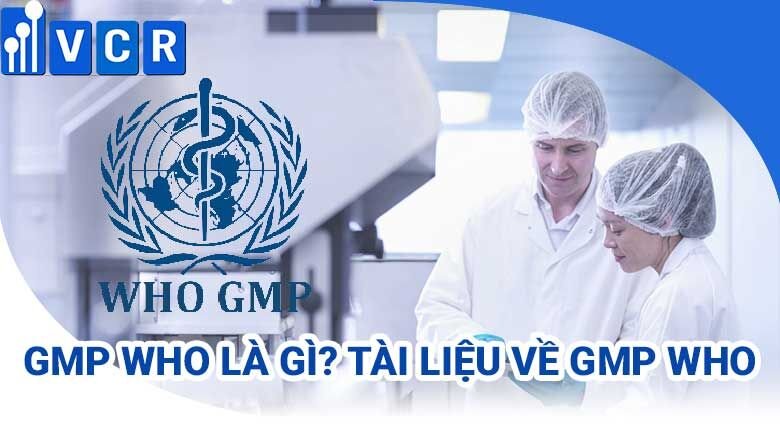 gmp who là gì