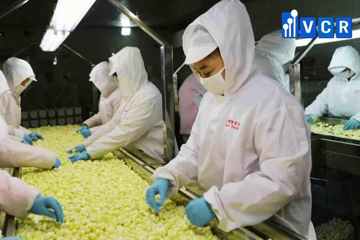 Food cleanroom design requirements