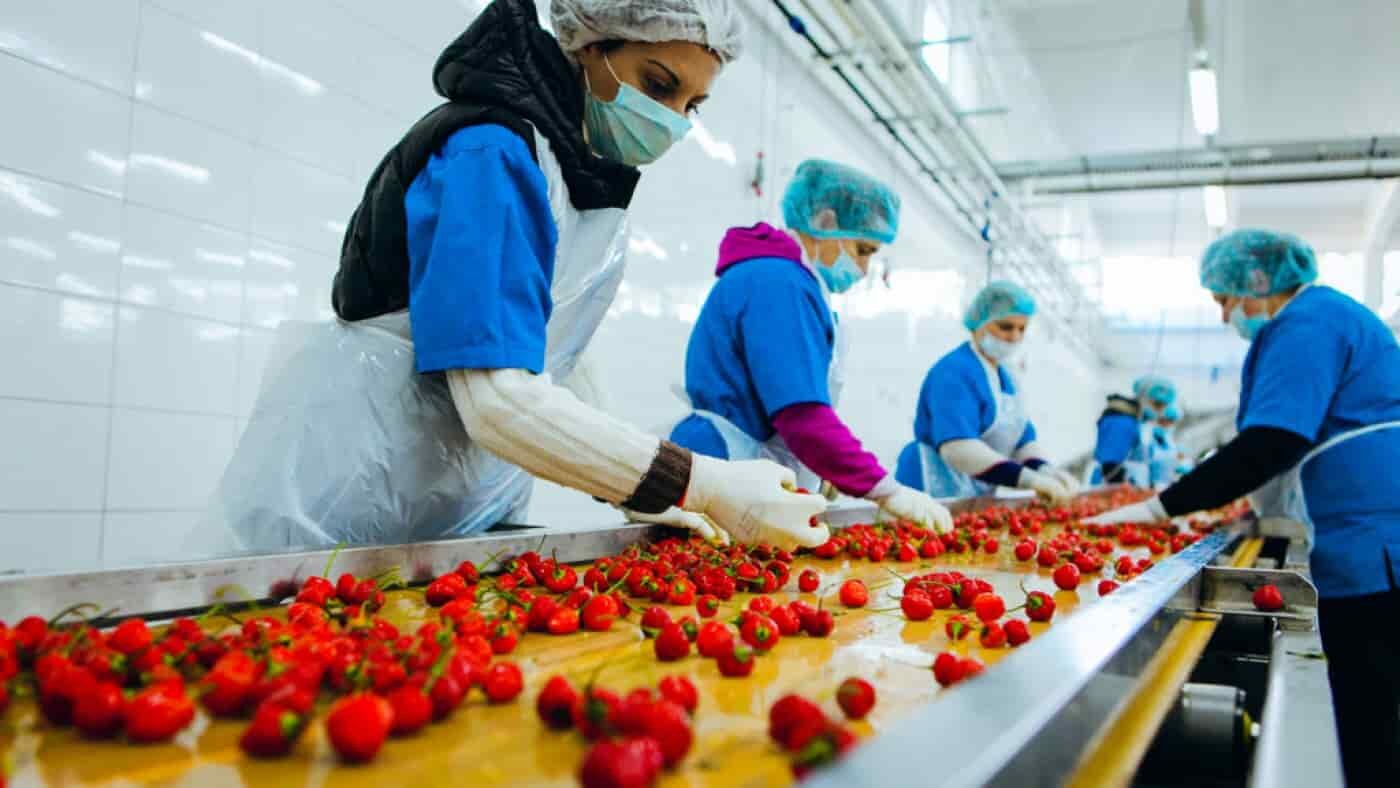 food-cleanroom-1