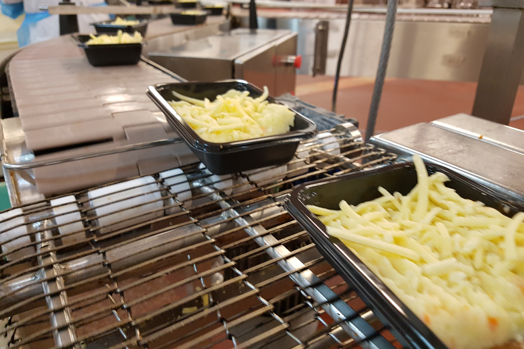 gmp haccp