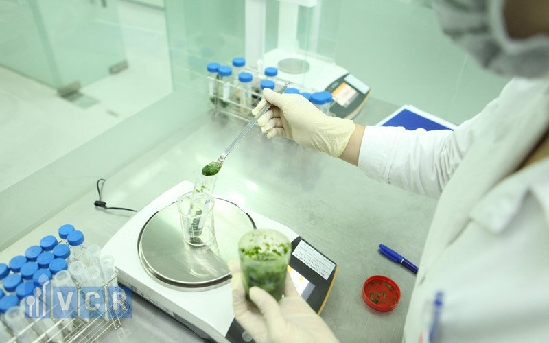 quy trình kiểm nghiệm thuốc bột 