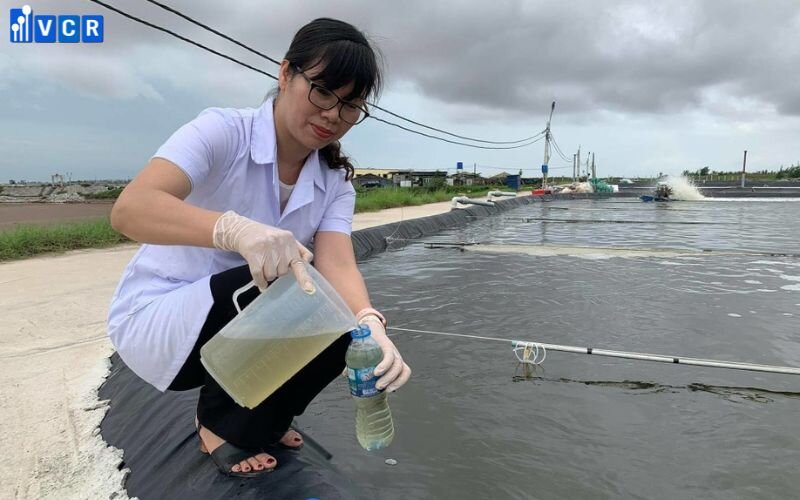 Cần sử dụng đúng liều lượng