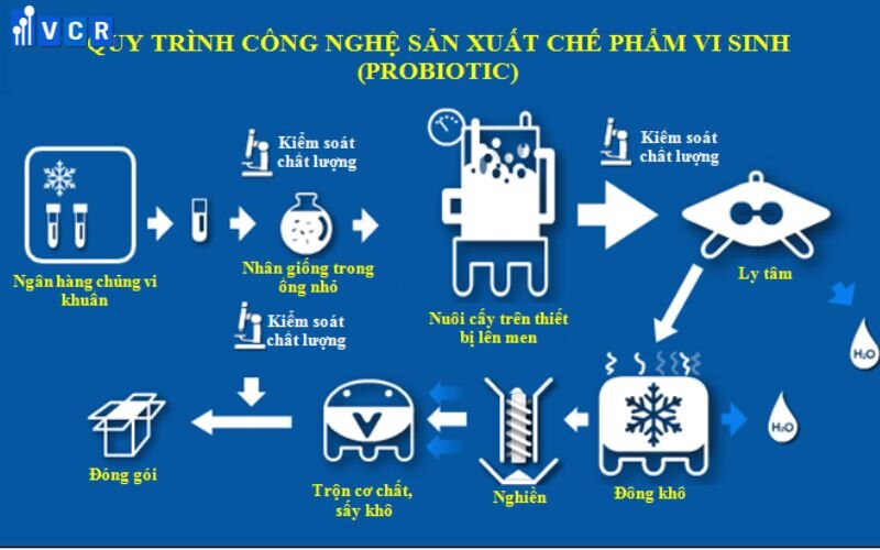 Quy trình sản xuất chế phẩm sinh học