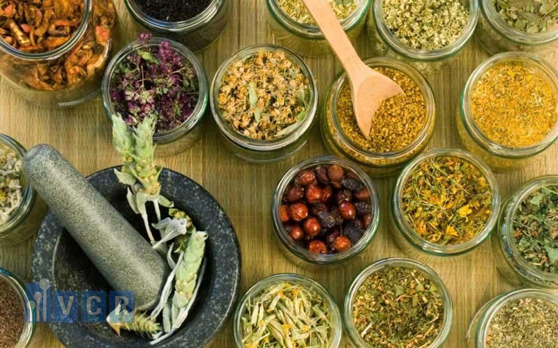 Không chỉ quen thuộc với người dân, các loại dược liệu còn đóng vai trò quan trọng trong ngành sản xuất thuốc.
