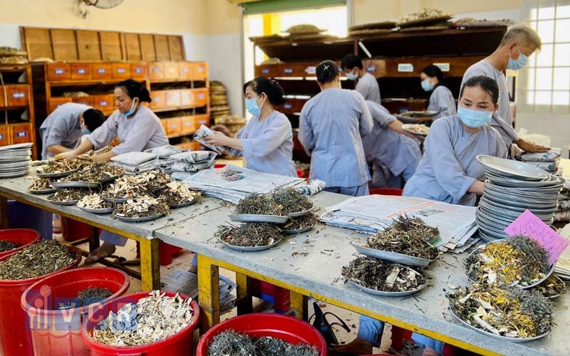 Các vấn đề liên quan đến kiểm nghiệm thuốc dược liệu