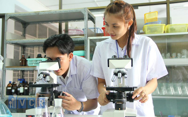 quy-trinh-kiem-nghiem-thuoc-com