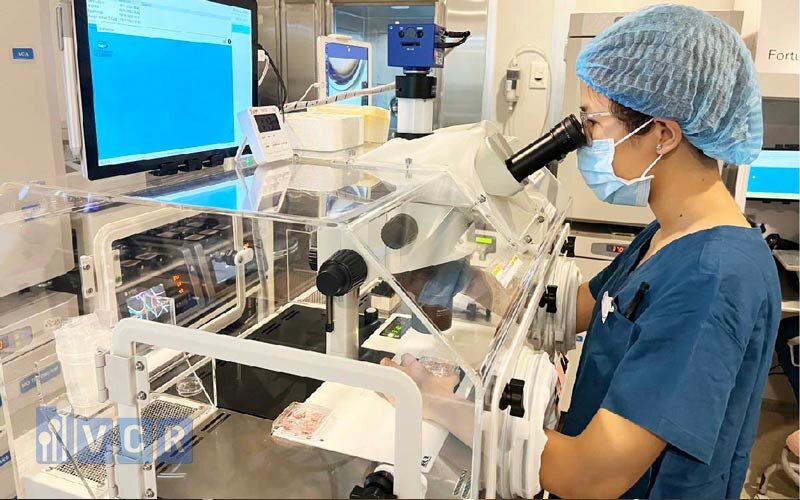 Phòng đảm bảo chất lượng và kiểm soát chất lượng