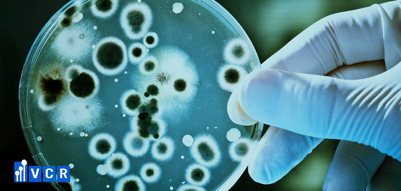 kiểm tra bioburden theo iso 11737