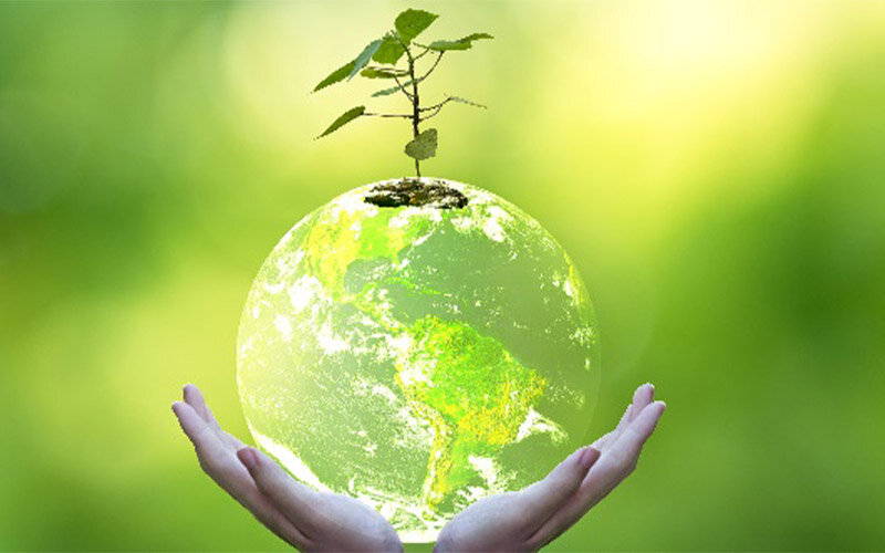 Tiêu chuẩn ISO 14001 là gì