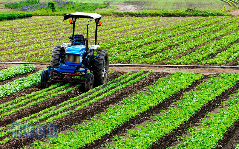 VietGAP trong nông nghiệp