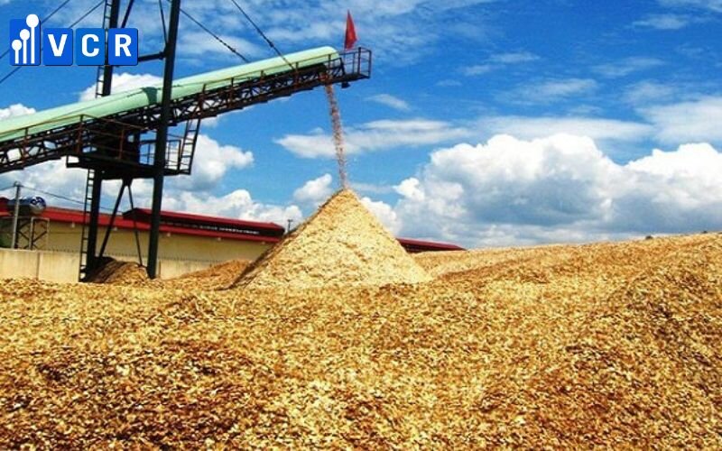 Bột giấy làm từ gỗ