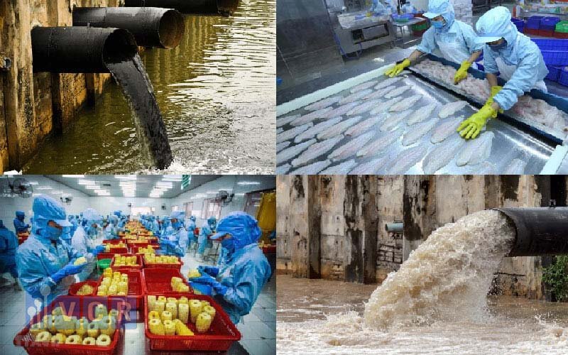 Trong quá trình chế biến thực phẩm hay vệ sinh dụng cụ, máy móc đều có thể thải ra lượng lớn nước thải.