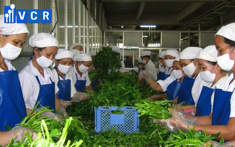 Tiến hành sơ chế nguyên liệu