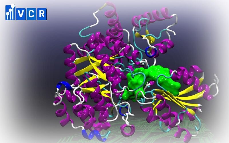 Enzyme có hoạt tính mạnh