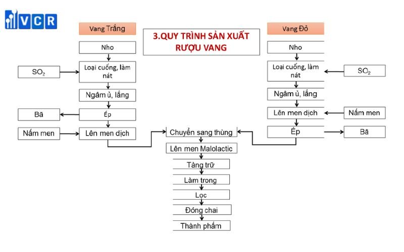 Sơ đồ quy trình sản xuất rượu vang nho